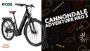 Cannondale 2021 Adventure Neo 3 EQ